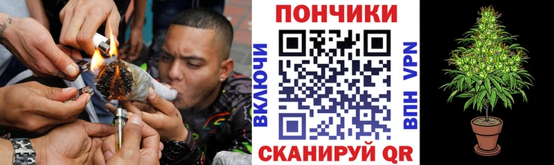 Купить  Миллерово  Шишки марихуана индика 